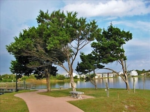 Carolina Beach Lake Park Scenic Walking Trails!