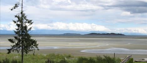 A view of Rathtrevor Beach and Park from our main floor deck!