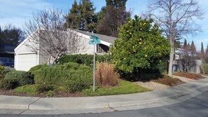 Oranges free (in season)!
