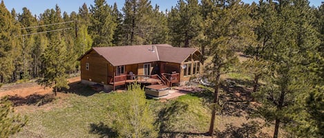 The Elk Spring Cabin nestled in the trees!