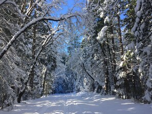 Great road for hiking, snowshoeing or XC skiing - walking distance. Dec 2015