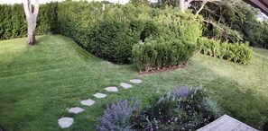 View from the porch to the driveway behind 14' hedges. Very private.