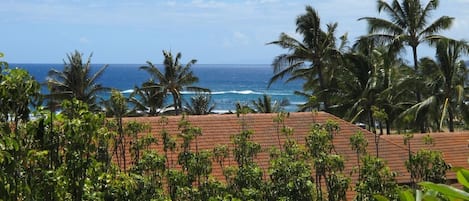 Ocean View of Brennecke's Beach