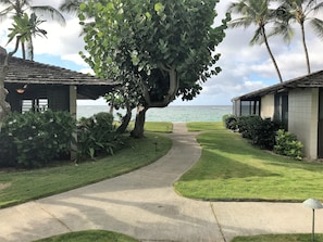 This is the walkway to the cottage.
