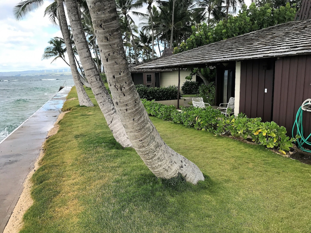 Beachfront Cottage on North Shore Oahu, Sleeps 4, $195/Night - Mokuleia