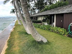 Cottage is on the ocean! Sandy beaches are to left and right.