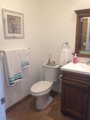 Guest bathroom 