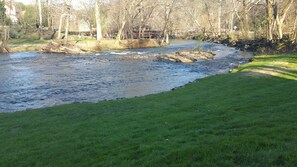 View of the river & grassey river bank 