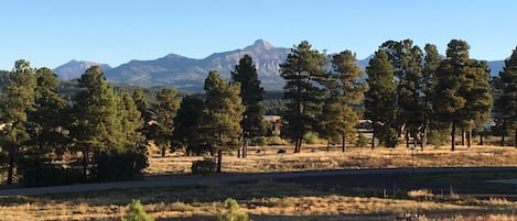 Terrain de l’hébergement 