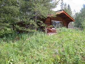 Cabin view from the picnic table