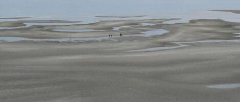 Beautiful Parksville Beach