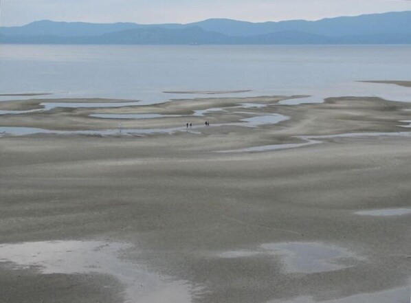 Beautiful Parksville Beach