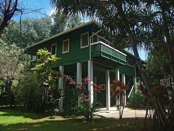 'Paradise Found'