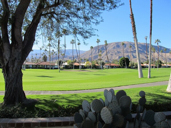 View from patio over golf course.