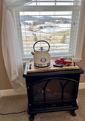 Electric fireplace and tea pot with views of the alpacas in the master bedroom.