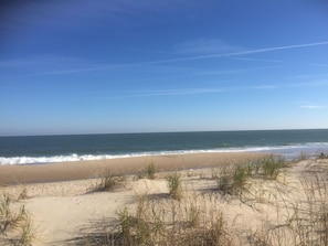 The Beach at Bethany