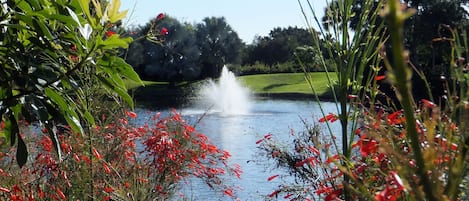 Low density, lots of water and green space, peaceful, tranquil and restorative