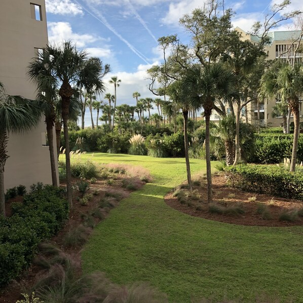 View from our deck