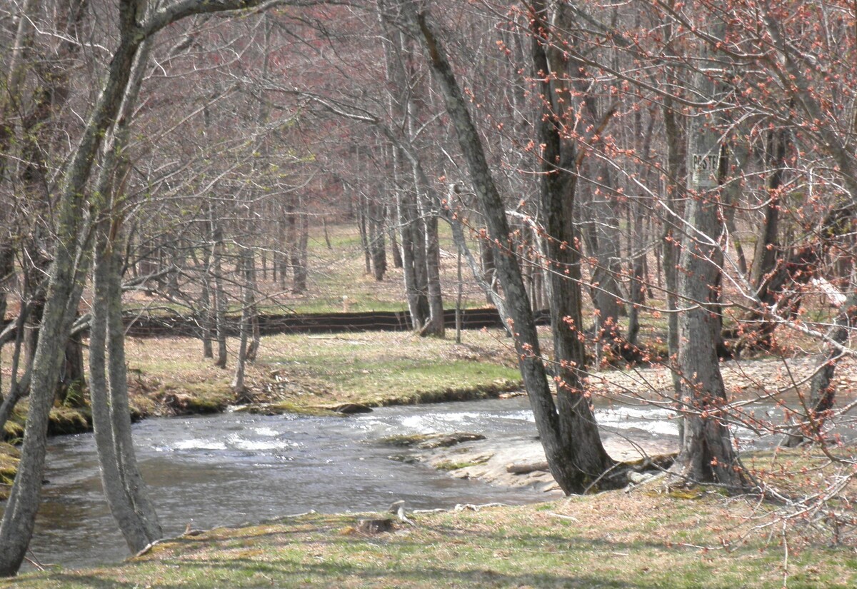 Nottely River Cabin- Fishing-Vogel St. Park Union County, GA STR License#004814