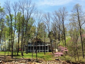 Dogwoods and redbuds in April from the lake
