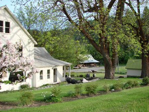 The 'back yard' in spring with peonies, BBQ, patio, picnic tables and flowers.