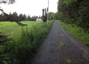 Driveway