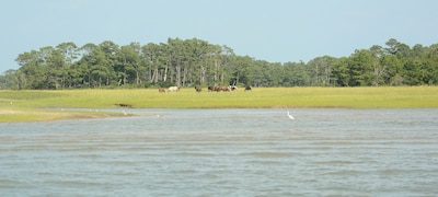 Waters Edge - Waterfront Vacation Home on Chincoteague Island Virginia