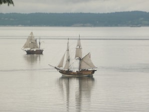 Tall ships passing below house. Doing "naval cannon battle"  WOW.