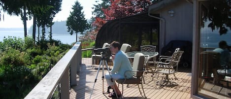 Guest searching for seals from the large deck