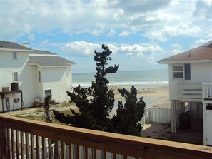 View from back porch.