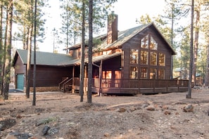 Cabin surrounded by tall ponderosa pines