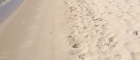 SOFT, SUGAR SAND BEACH RIGHT OUT THE FRONT DOOR.






























