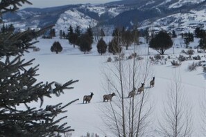 Sci e sport sulla neve