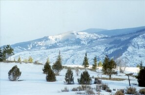 Oklassificerad bild, 2 av 27, knapp