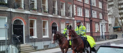 London police exercise their mounts on Handel Street weekly