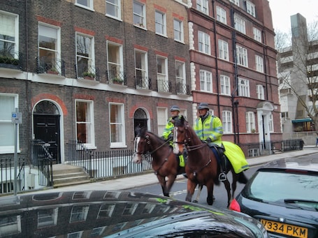 London police exercise their mounts on Handel Street weekly