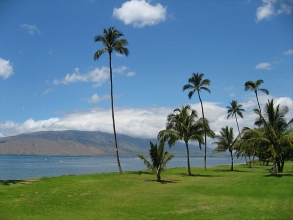 Take a short walk down to the beach.