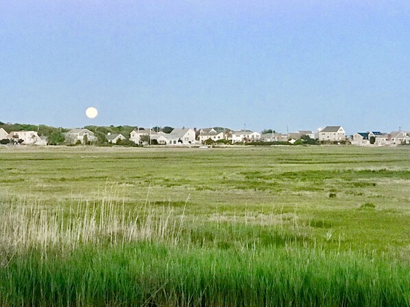 Low tide full moon