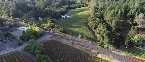 Ariel photo of Sapphire Canyon Vineyard