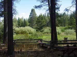 View from backyard into the beautiful meadow