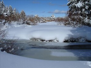 Backyard meadow and creek in the snow