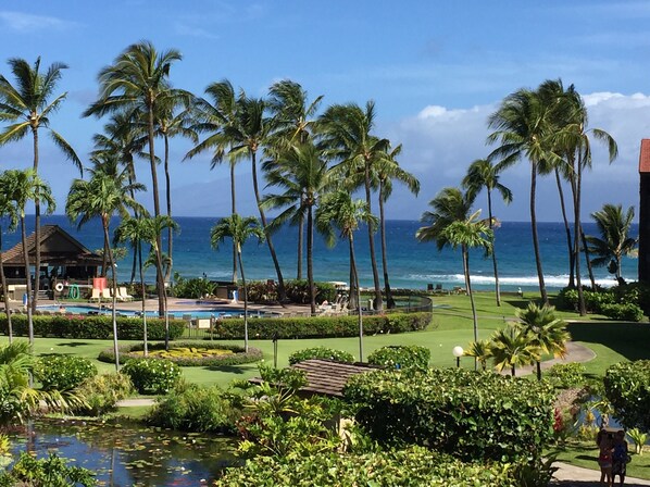 Overview of the resort property from D building