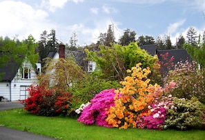 Spring Woodmoor Gables