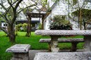 Grounds