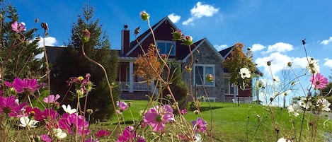 A pretty outside view of our home from the roadside. Summer flowers in bloom!
