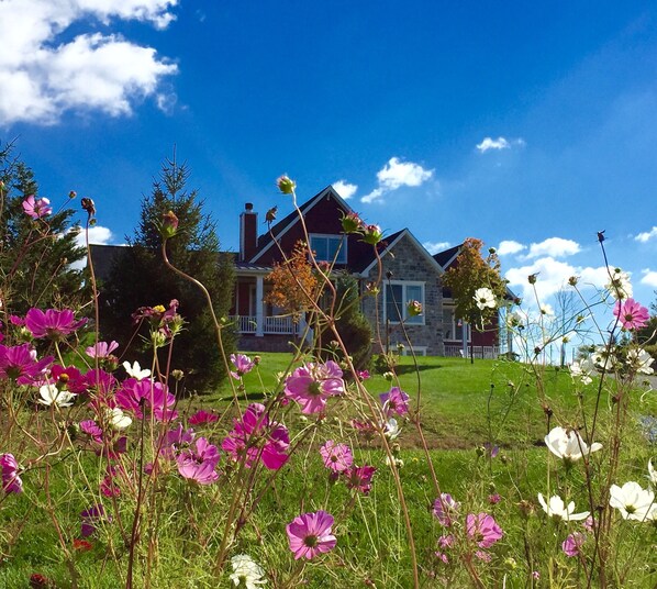 A pretty outside view of our home from the roadside. Summer flowers in bloom!
