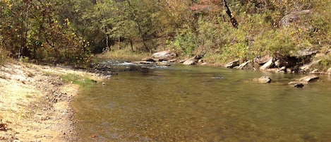 PRISTINE YEAR-ROUND PINEY CREEK*PLAY, SWIM, FLOAT, FISH--NATURE AT ITS FINEST!
