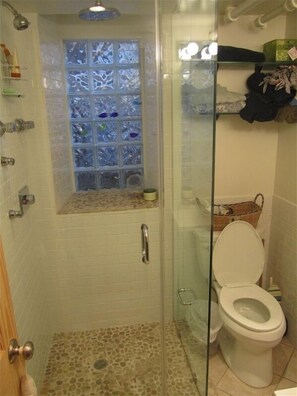 LL bathroom recent remodel, spa qualities - rain shower with body sprays