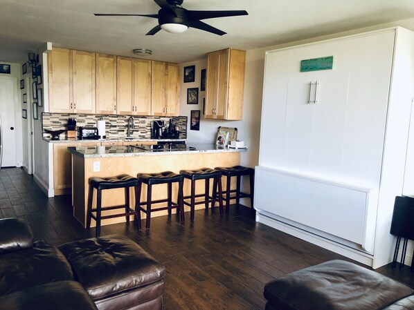 Kitchen and Murphy bed.