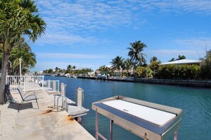 Dock and fish cleaning station